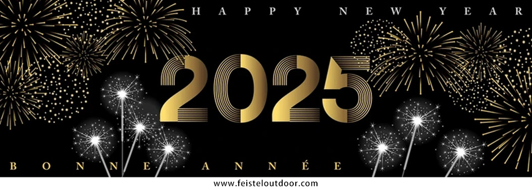 Celebrates 2025 New Year's Day Celebrates 2025 New Year's Day