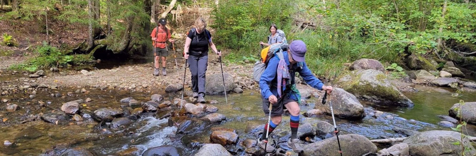 trekking poles trekking poles