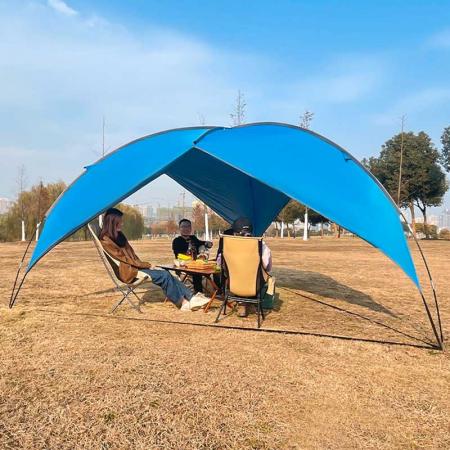 Awings d'auvent de tente d'auvent de haute qualité faits sur commande de fabricant en vente 