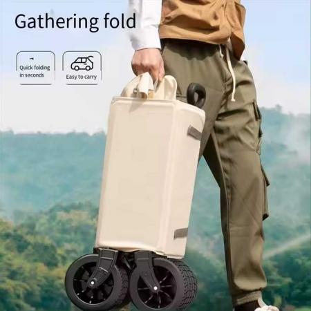 Chariot utilitaire de jardin extérieur pliable à roues universelles de 8 pouces avec toit 