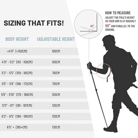 bâtons de trekking en montagne bâtons de randonnée avec verrous à réglage rapide