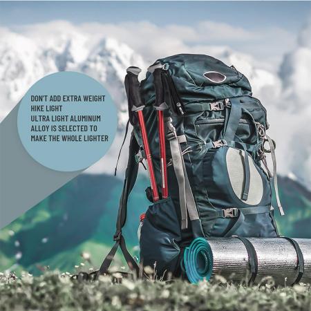 bâtons de trekking en montagne bâtons de randonnée avec verrous à réglage rapide
