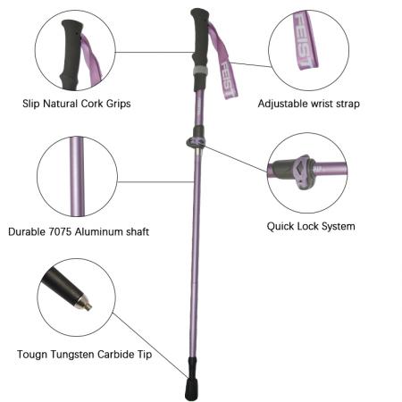 Bâtons de randonnée pliables, légers, réglables et en fibre de carbone, à 3 sections, avec pointe en acier tungstène 